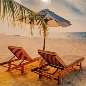 Meet your Posher, Elaine